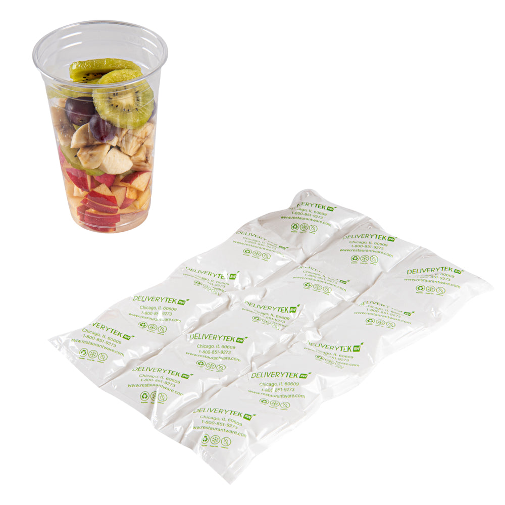 Delivery Tek Plastic Shipping Ice Pack - 3 x 4 Cells - 11 1/2" x 7 3/4" - 100 count box