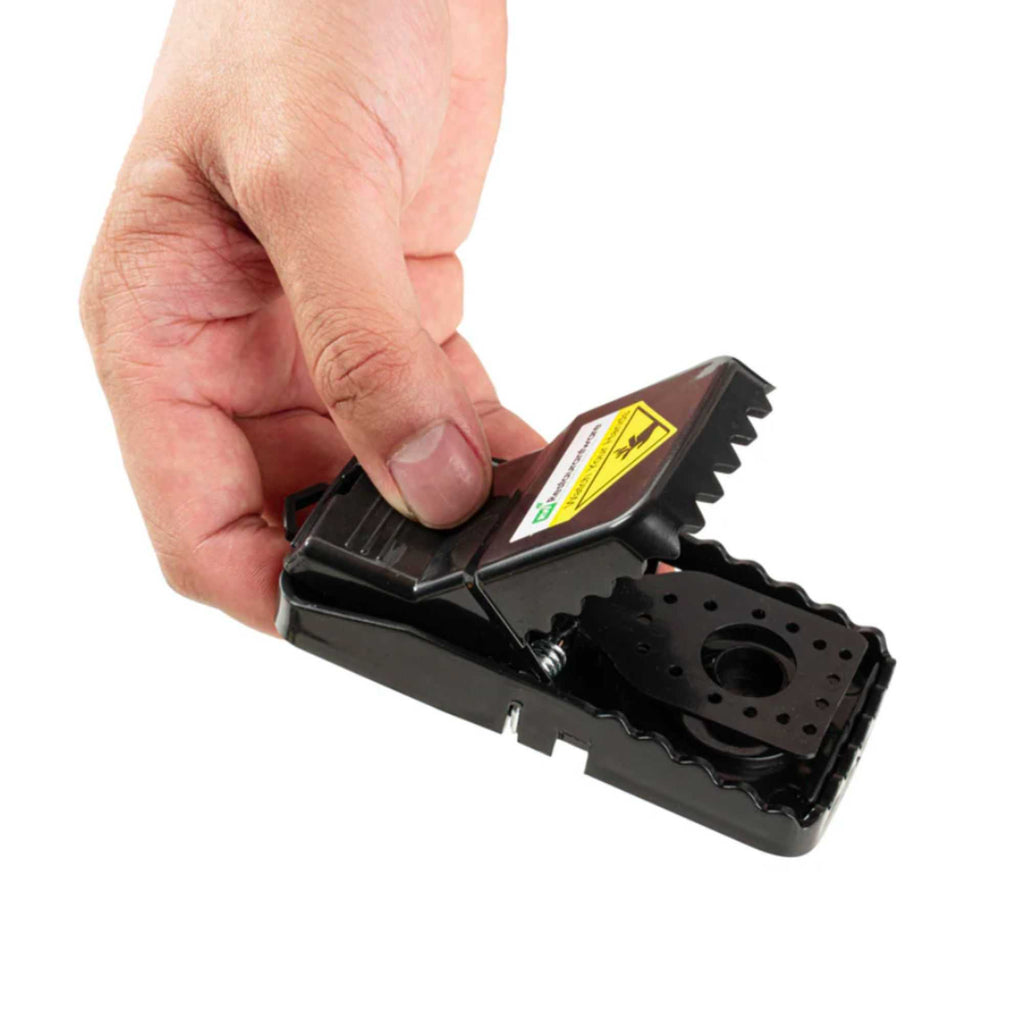 Pest Tek Black Plastic Mouse Trap - Interlocking Teeth, Reusable - 4 1/2" x 2" x 2 1/4" - 6 count box