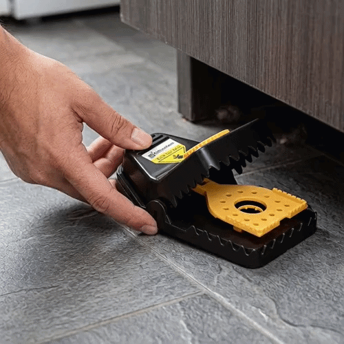 Pest Tek Black Plastic Mouse Trap - Interlocking Teeth, Bait Cap, Reusable - 6" x 3" x 2 3/4" - 2 count box