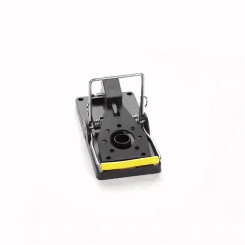 Pest Tek Black Plastic Mouse Trap - Kill Bar, Reusable - 3 3/4" x 1 3/4" x 2 1/4" - 6 count box