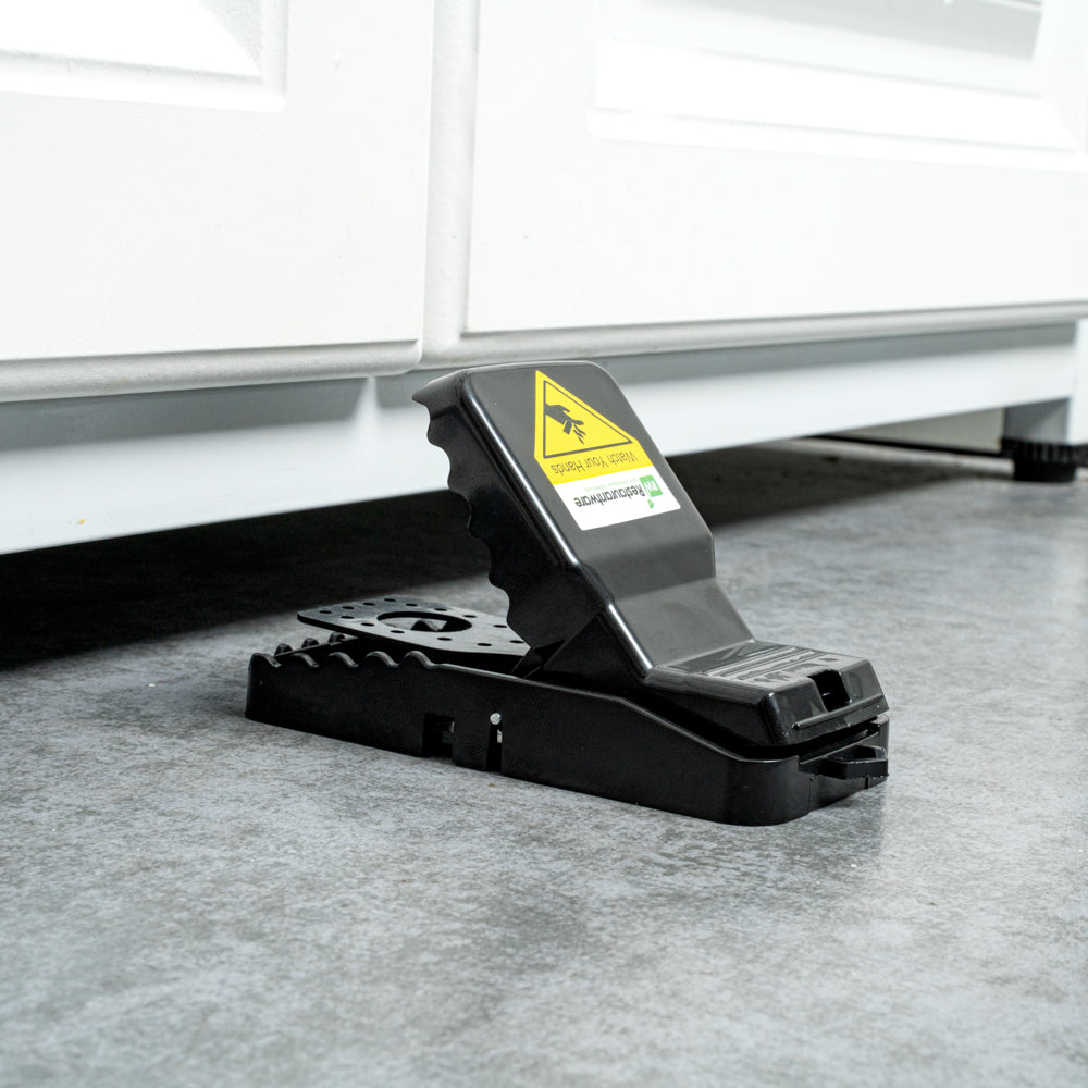 Pest Tek Black Plastic 8 Mouse Trap Set - with 2 Clamps, Interlocking Teeth, Reusable - 4 1/2" x 2" x 2 1/4" - 1 count box