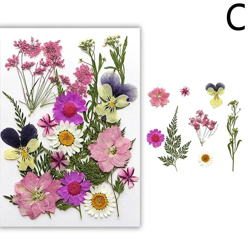 For Fun DIY Embossed Dried Flower Resin Fillings Real Flower for Home Decoration Nail Art Handicrafts Jewelry Making Crafts