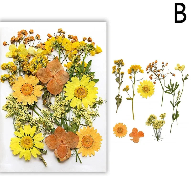 For Fun DIY Embossed Dried Flower Resin Fillings Real Flower for Home Decoration Nail Art Handicrafts Jewelry Making Crafts