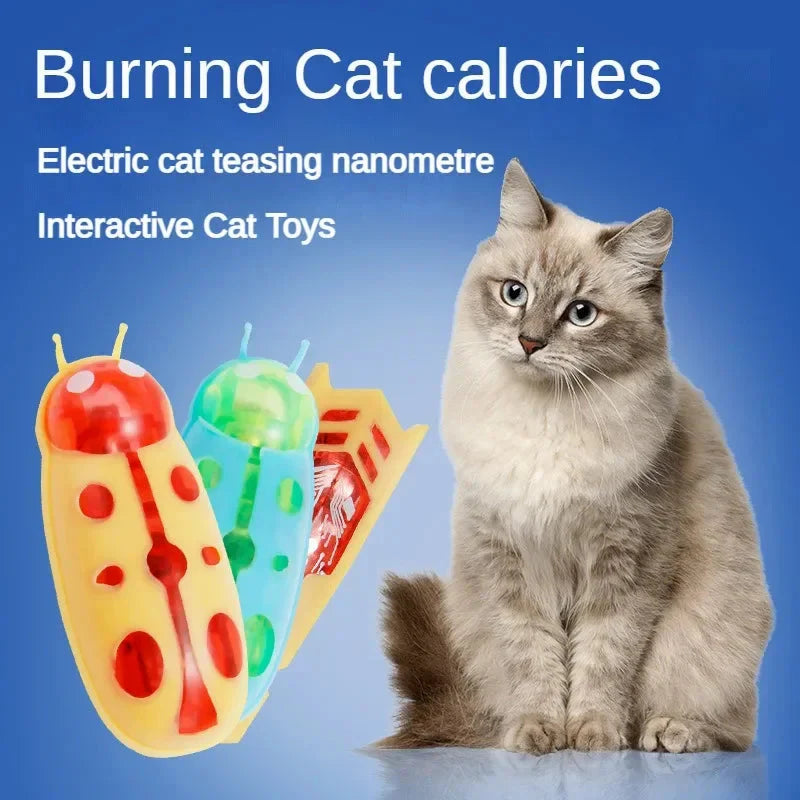 Interactive Mini Electric Bug Cat Toy – Battery Operated Flip Beetle