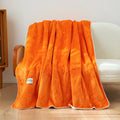 DecorBites™ Double-Layer Warm Blanket: Flannel & Lamb Wool Sofa Blanket