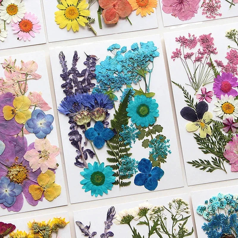 For Fun DIY Embossed Dried Flower Resin Fillings Real Flower for Home Decoration Nail Art Handicrafts Jewelry Making Crafts