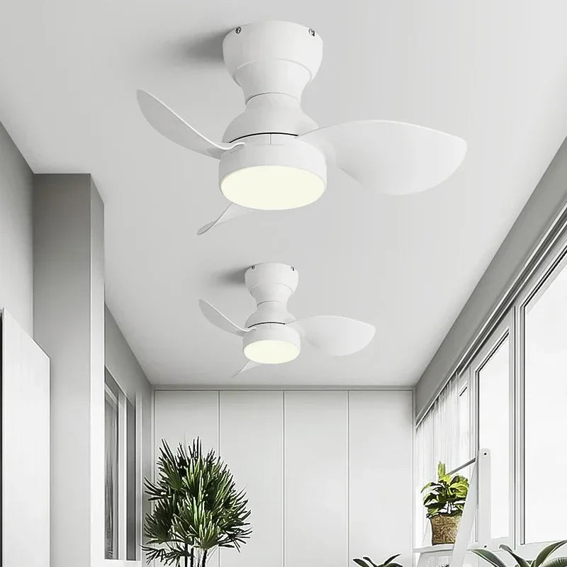 DecorBites™ 22" Modern Black Ceiling Fan Light with DC Remote Control & LED - Bedroom and Restaurant Use