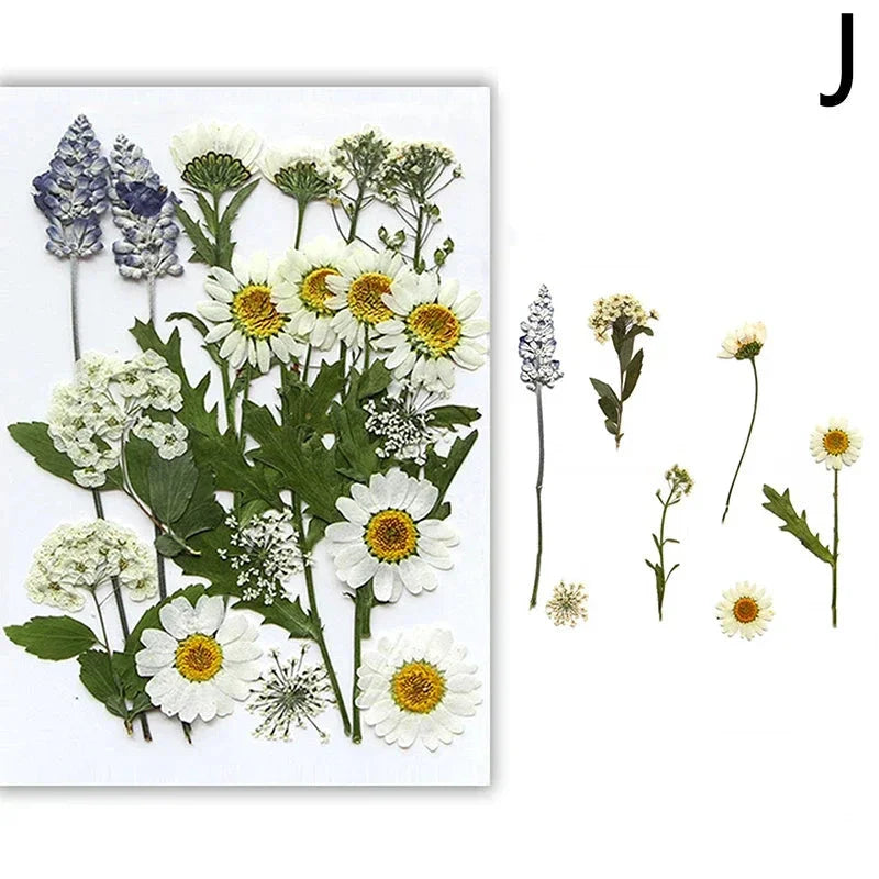 For Fun DIY Embossed Dried Flower Resin Fillings Real Flower for Home Decoration Nail Art Handicrafts Jewelry Making Crafts