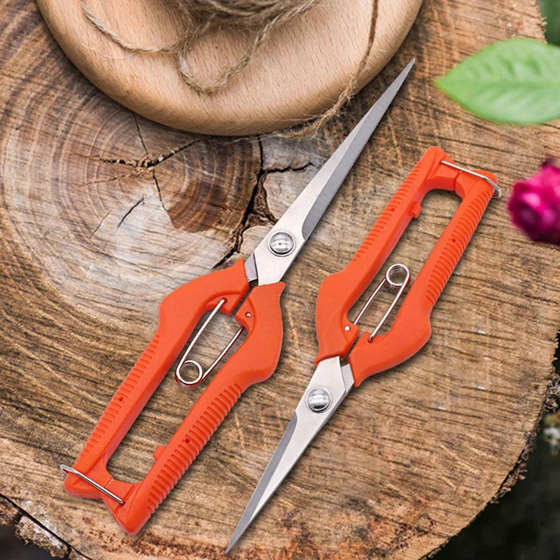 Grape Scissors Pruning Shears | Professional Stainless Steel Garden Tool