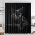 DecorBites™ Black Cat Color Owl Modern Printed Curtain Set