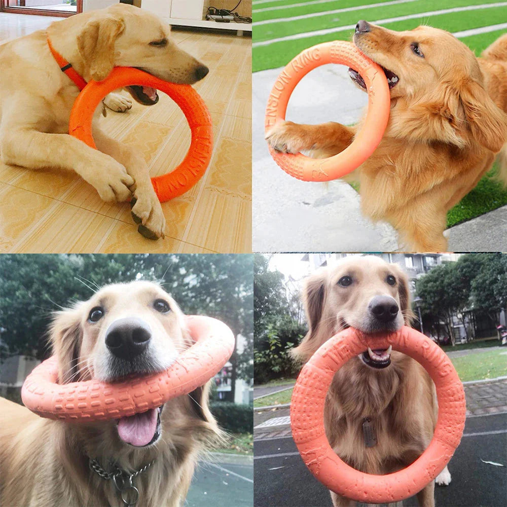 Durable Dog Ring Toy – Indestructible Flying & Chewing Training Toy