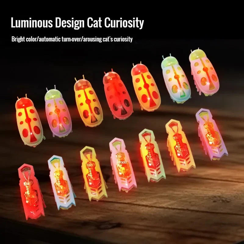 Interactive Mini Electric Bug Cat Toy – Battery Operated Flip Beetle