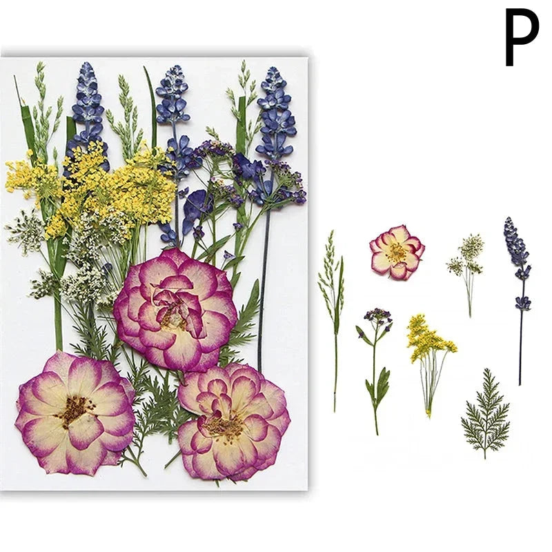 For Fun DIY Embossed Dried Flower Resin Fillings Real Flower for Home Decoration Nail Art Handicrafts Jewelry Making Crafts