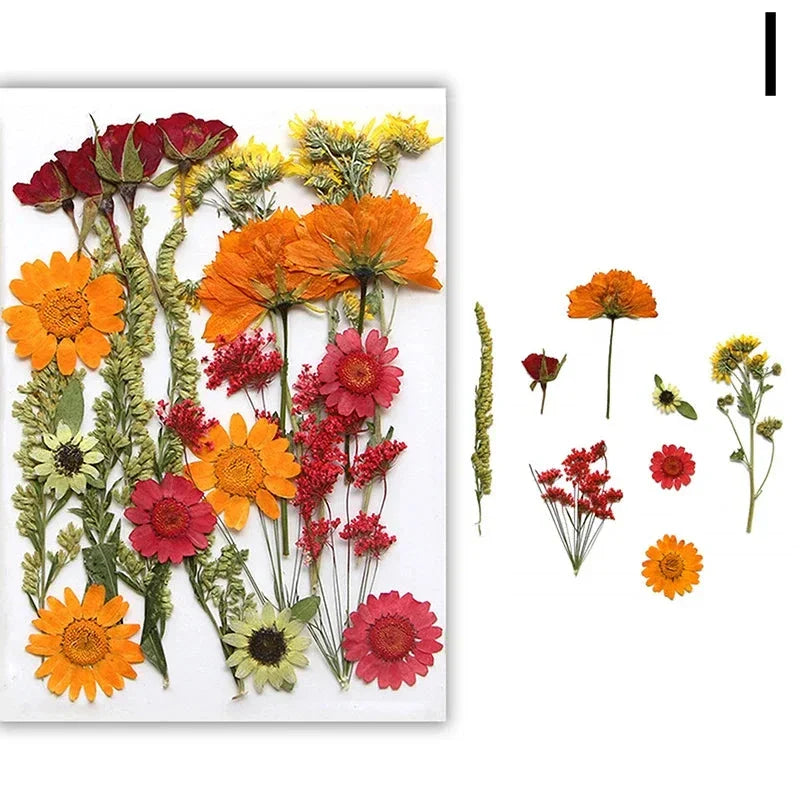 For Fun DIY Embossed Dried Flower Resin Fillings Real Flower for Home Decoration Nail Art Handicrafts Jewelry Making Crafts