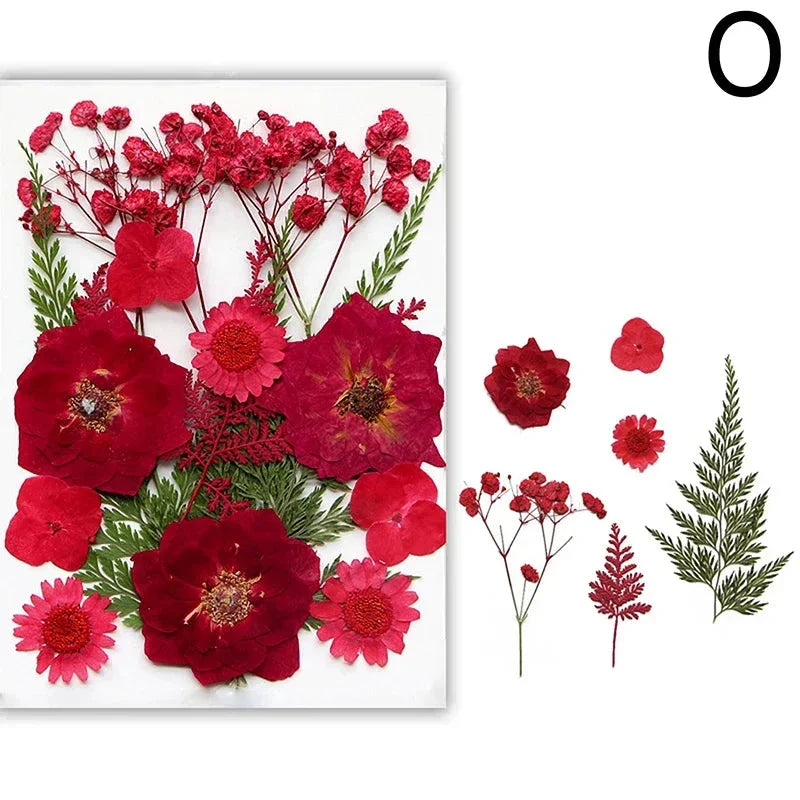 For Fun DIY Embossed Dried Flower Resin Fillings Real Flower for Home Decoration Nail Art Handicrafts Jewelry Making Crafts