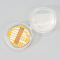 Soft Air Cushion Puff Makeup Blender Sponges | 3-Piece Elastic Marshmallow Foundation Set