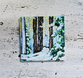 Coaster/ Trivet/ Magnet: Winter Sunlight