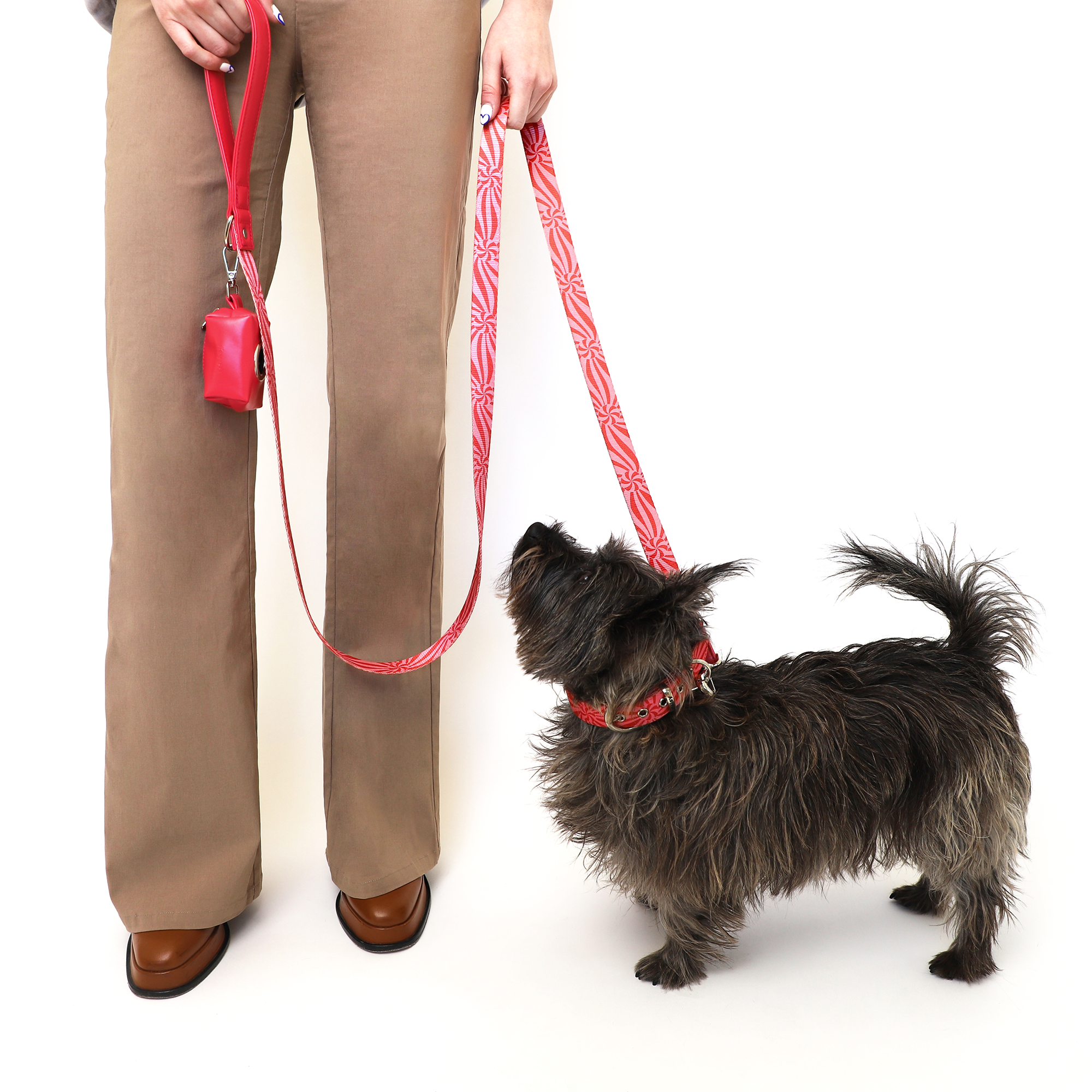Ginger Leash