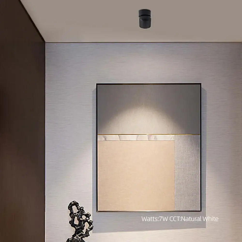 Modern matte white cob led ceiling spotlight living room lamp