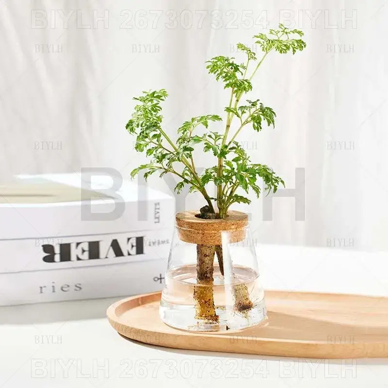 Modern clear glass flower pots with wood base living room planters