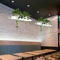 Modern rectangular black & white led island light kitchen plant pendant