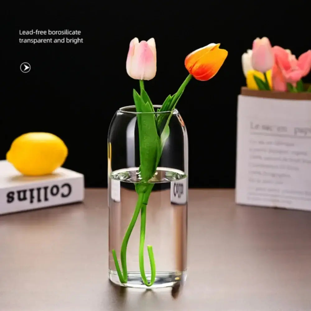 Modern hydroponic plant glass flower vase for living room decor