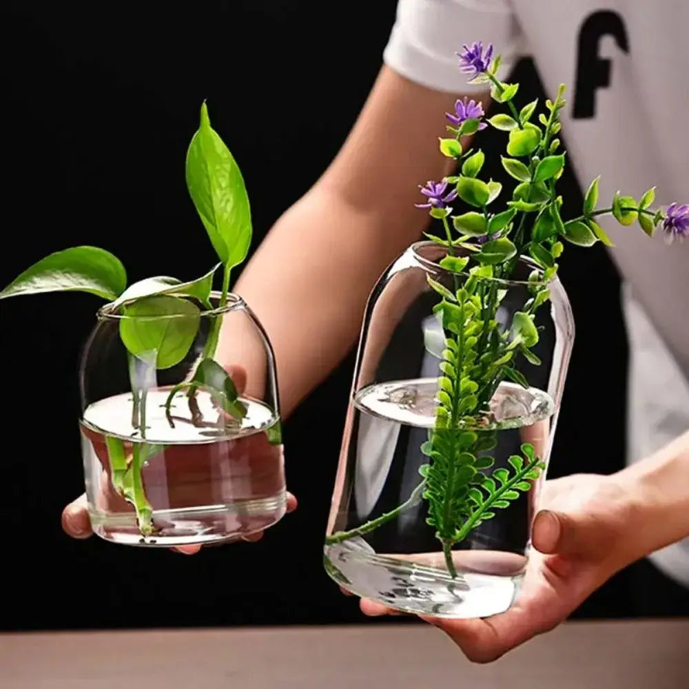 Modern hydroponic plant glass flower vase for living room decor