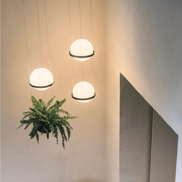 Modern matte black planter light pendant frosted glass dining room