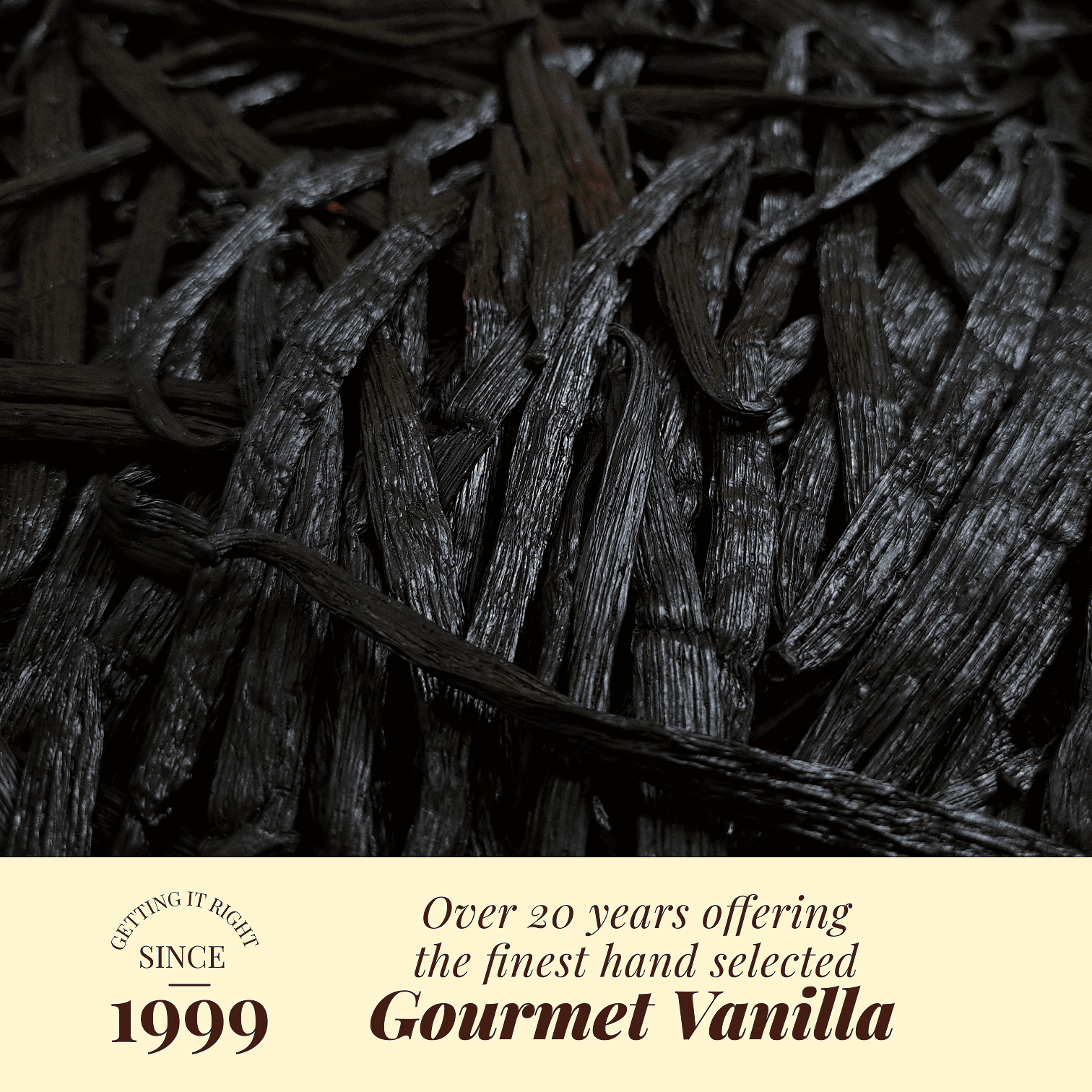 Grade A Ugandan Vanilla Beans – Whole Bulk Vanilla Pods for Baking & Extracts | Non-GMO