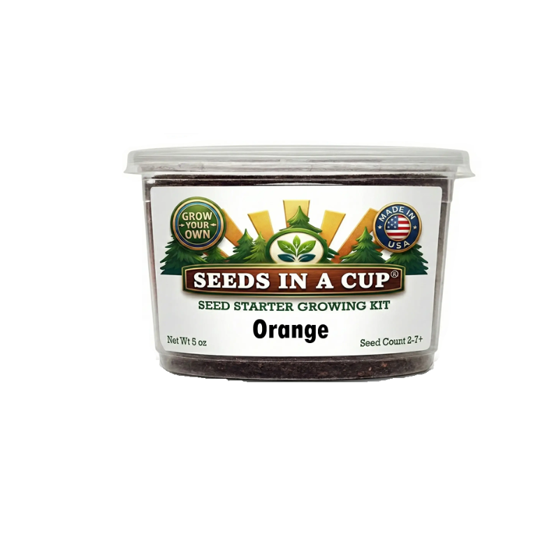 Tree & Vine Seed Growing Kit – Multiple Tree Varieties