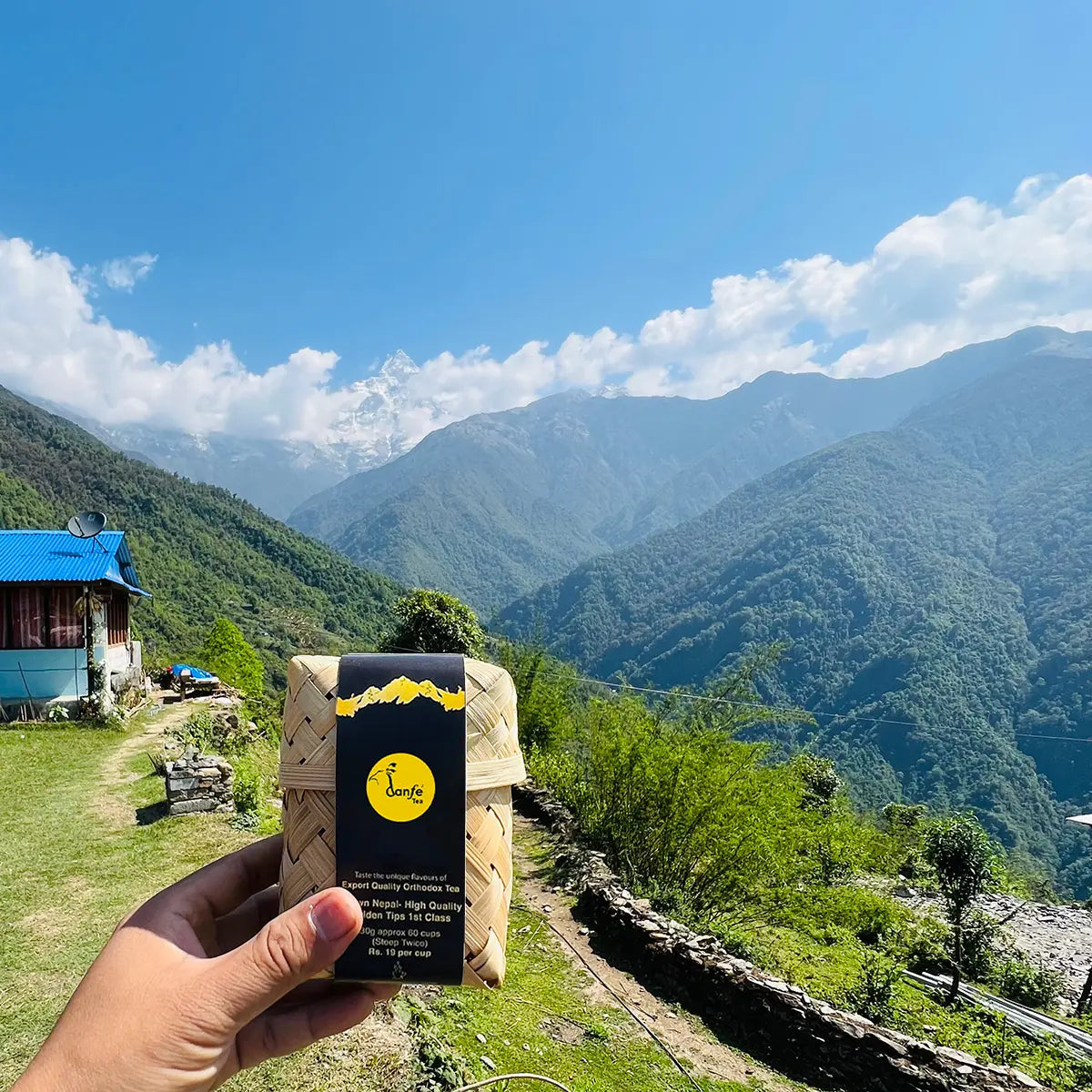 05° Tulsi Tea (Sacred Basil Tea)