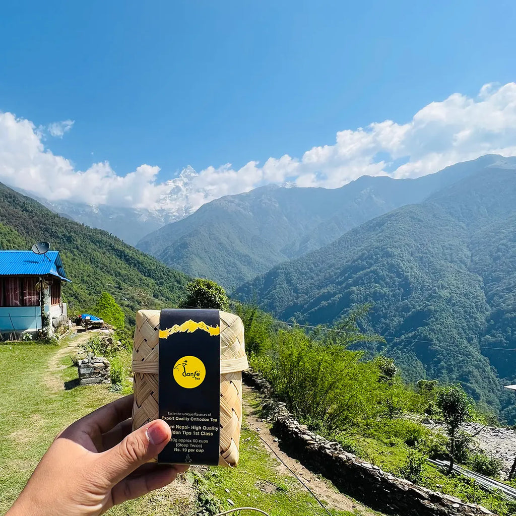 01° Ilam Loose Leaf Black Tea