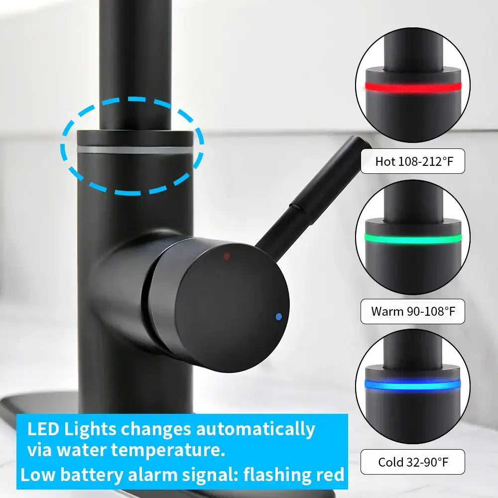 DecorBites™ Black Single Handle Pull Out Kitchen Faucet Swivel 360 Degree Water Mixer Tap