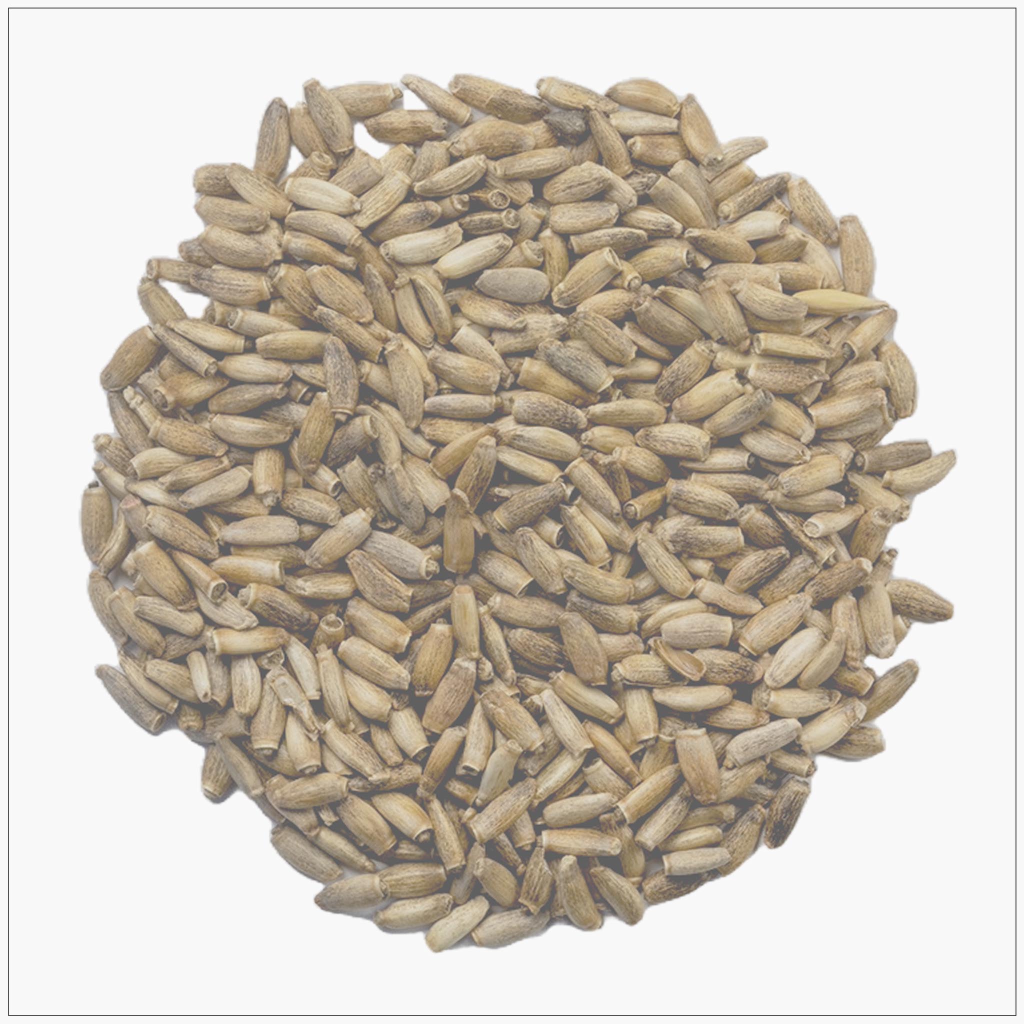 Milk Thistle Seed