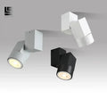 DecorBites™ 5W Adjustable Angle Downlight Chrome/White/Black Surface Mount Warm/Natural White