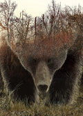 Bear Animal Jigsaw Puzzle
