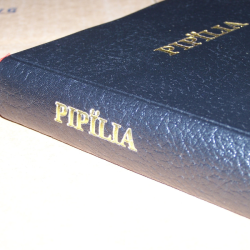 PIPILIA: POKOT BIBLE