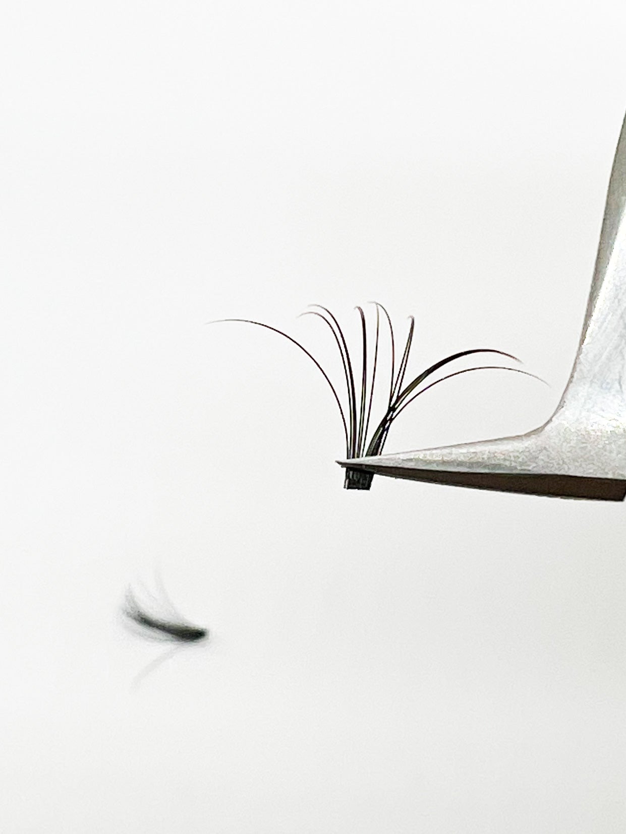 Vip Quick Fan Lashes DD 05 & DD 07 - CC 05 & CC 07