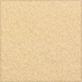 Xanthan Gum